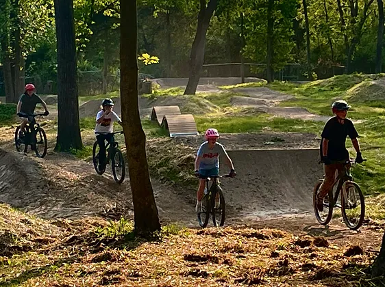 8d586b5e-430b-47d7-b8bc-433e59698a82