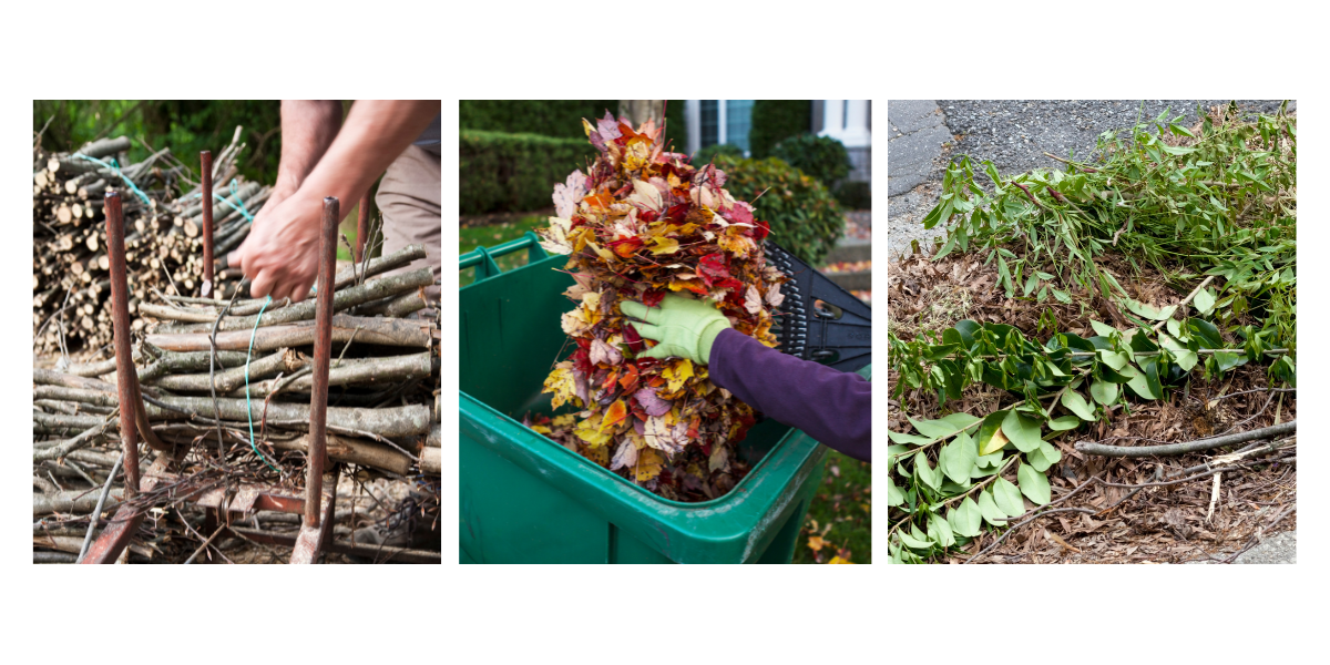 Untitled design (25)