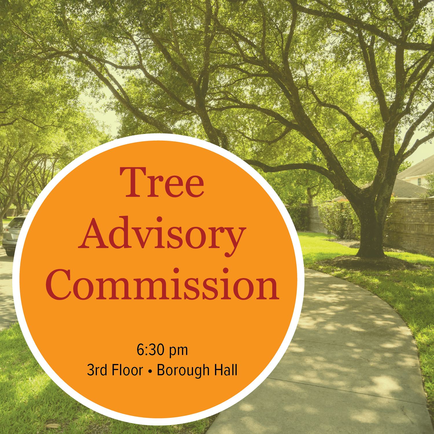 Tree Advisory Commission Meeting