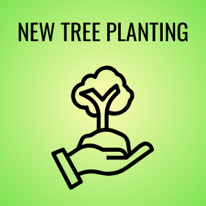 New Tree Planting Button